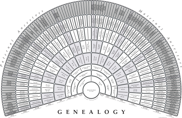 free interactive family tree template