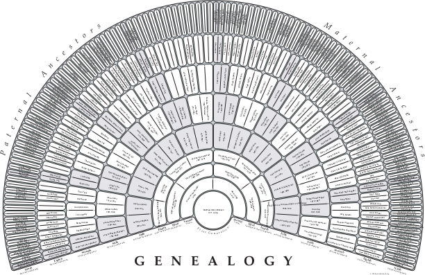Genealogy Fan Chart Template Excel - Fill Online, Printable