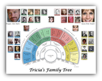  TreeSeek Family Tree Chart Blank Genealogy Fan Chart Poster  for Ancestry and Family History Research. 7 Generations to Fill in Perfect  Genealogy Gift 10 Pack Beautiful 17x22 in Worksheets : Office Products